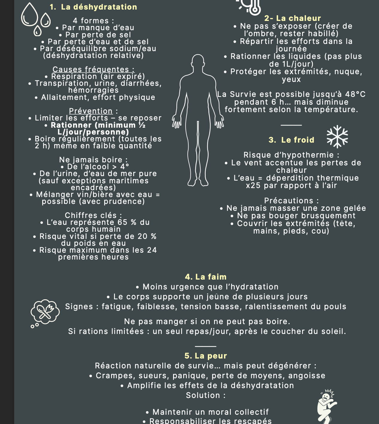 Pack Fiches de Révision CCA – Théorique + Pratique | Préparation Complète