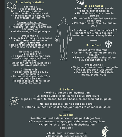 Pack Fiches de Révision CCA – Théorique + Pratique | Préparation Complète