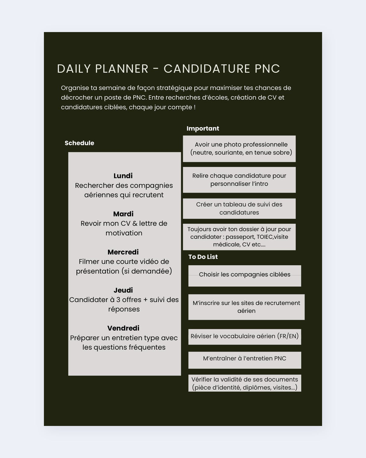 Aperçu : planning de candidature jour par jour